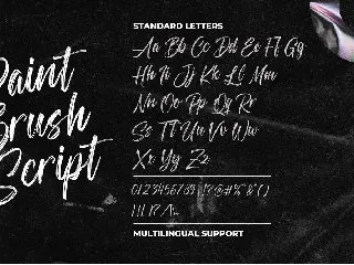 Paint Brush Script - Logo Font