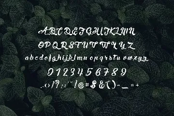 Dengal Modern Font