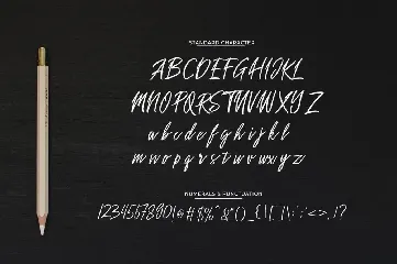 Sakoda Signature Font