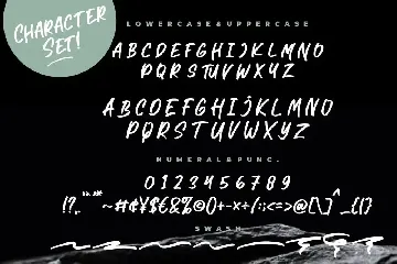 Brotherhood Brush Marker font