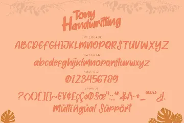 Tony Handwritting - Font