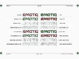 EMOTIQ - Modern & Futuristic Sans (16 Style) font