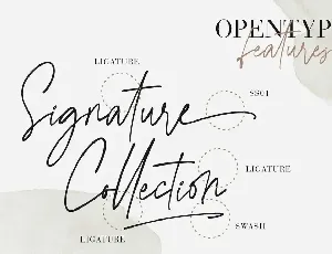 Agatha Christy Signature Collection font