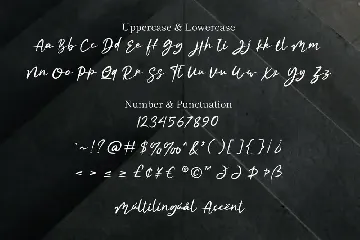 Rhileida - Script Font