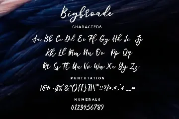 Bigbroade font