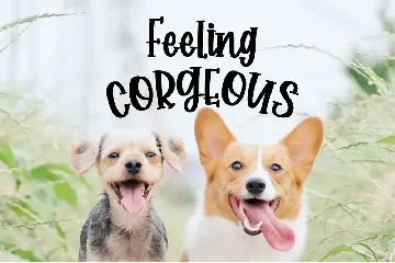 Corgi Puppy - Handwritten Font