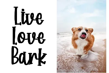 Corgi Puppy - Handwritten Font