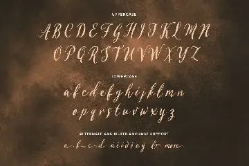 Pueriel Script font