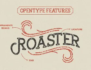 Broster Slab Typeface font