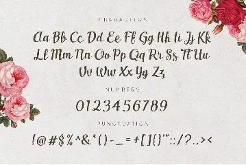 Casseron Script font