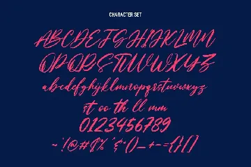 Nastyflashy Brush Script Font