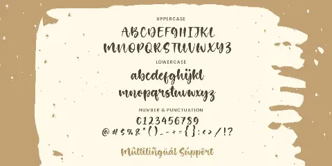 Dimetone - Handwritten  Font TT