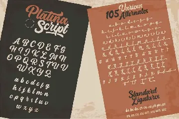 Platina Script // Rough Version font