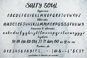 Salty Soul handwritten font