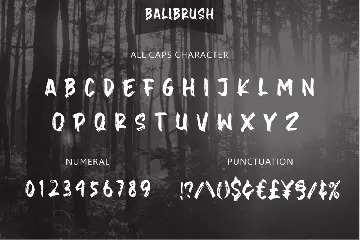 Balibrush - Rough Marker Font