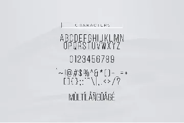 Holigas font