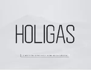 Holigas font