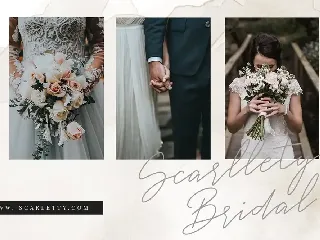 White Angelica Signature Wedding Font