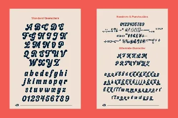 Budge font