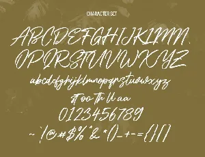 Shadyspeed Script Font