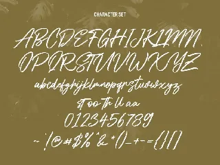 Shadyspeed Script Font