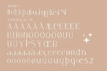 Meliska Minimalist Serif Font