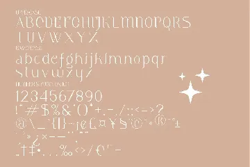 Meliska Minimalist Serif Font