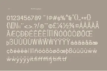 Minimalist Sans Serif Font