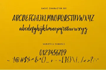 Pammela Script font