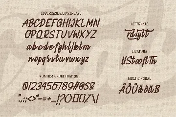 Cikals | Script Font