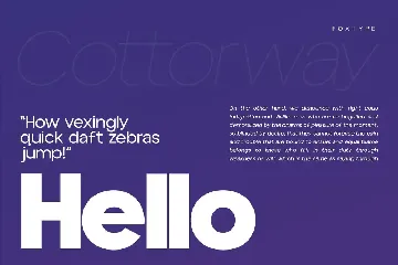 Cottorway Pro Dispaly Typeface font