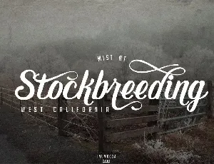 Early Morning Typeface font