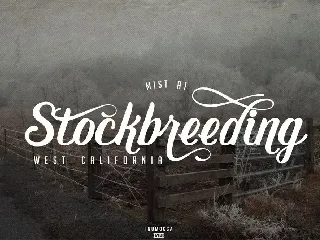 Early Morning Typeface font