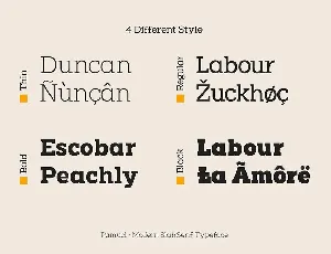 Pamuci - Modern Slab Serif Typeface font