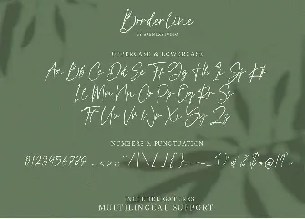 Borderline | Calligraphy Font