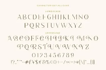 Romantic Serif font