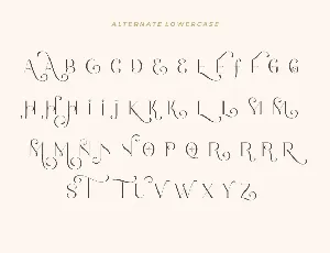 Romantic Serif font