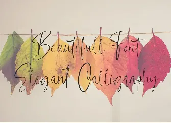 Contributor Calligraphy Font