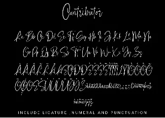 Contributor Calligraphy Font