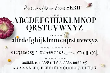 Daisies of Our Lives font