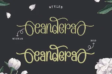 Candera font