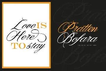 Denita Script font