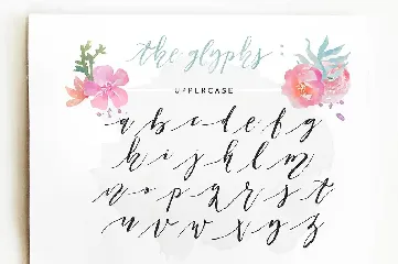 Patricia Dorothy font