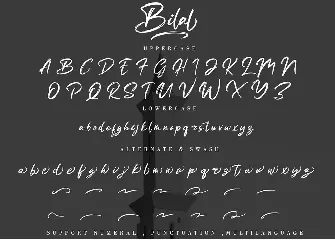 Bilal Brush Handwritten Font