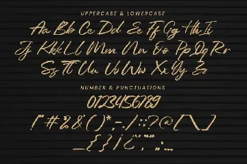 Reinkies - Authentic Brush font