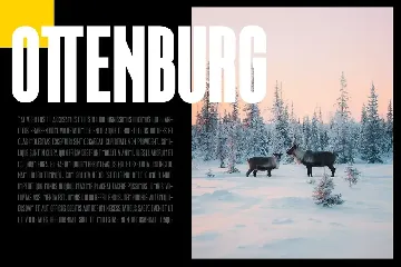 Ottenburg Display Typeface font