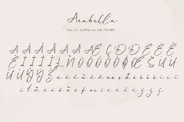 Arabella | Elegant Signature Font