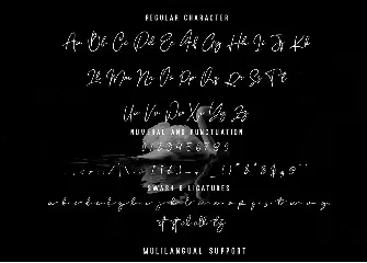 Quetzalli Signature Font