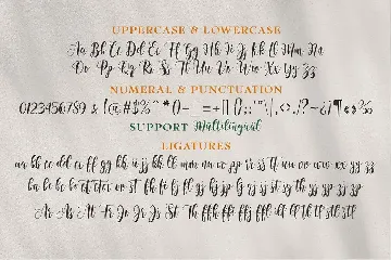 Basyirah Script font