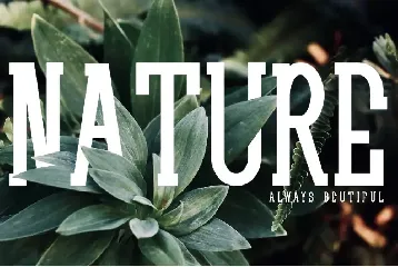 ATHENA - Serif Font